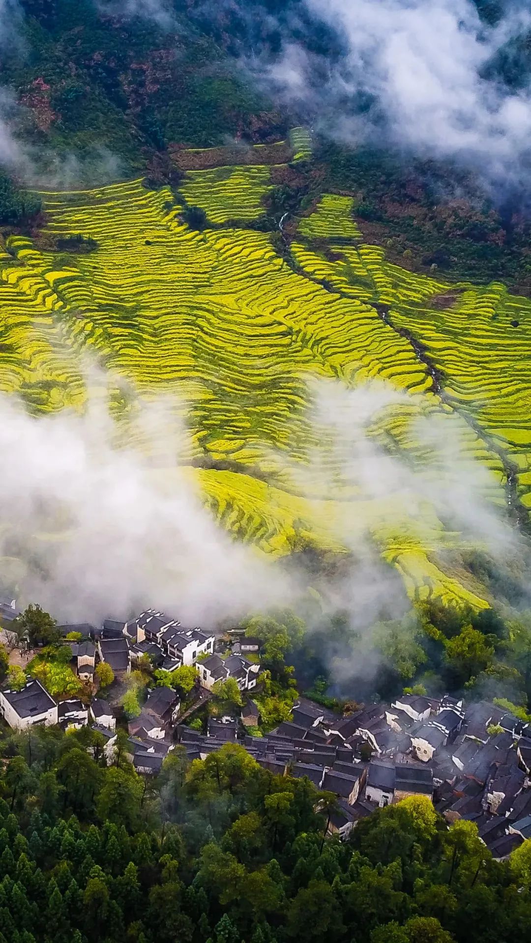 江西,梦里水乡,人间仙境🌿🏞️