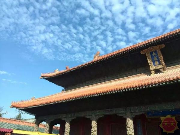 千年齐鲁瑰宝与现代建设典范，山东的文化与现代化之旅