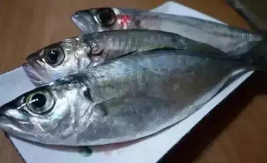 海南，绿色发展的挑战与转型之路